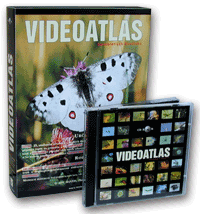 CD-ROM Videoatlas bezobratlých živočichů